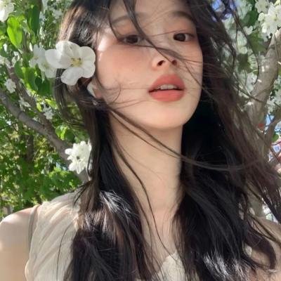 高卢英雄：中国大战罗马帝国